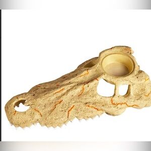 Alligator Skull Decorative decor reptile terrarium in Sandstone Beige new